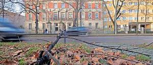 Viel Glück. Ein Baum kapitulierte vor dem Sturm und krachte auf die Hegelallee. Die Feuerwehr musste die Straße räumen. Zurück blieb ein abgebrochener Ast.