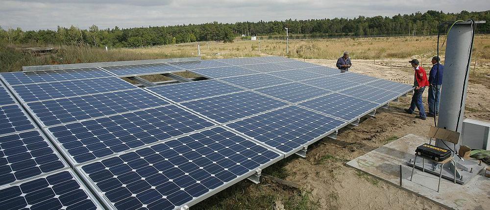 Solaranlage bei Treuenbrietzen. In ländlichen Gegenden wird mehr Strom erzeugt als dort verbraucht wird. Foto: