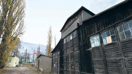 Kein Aufschub geduldet. Bis zum Jahresende wird das Grundstück in der Oderstraße 34-36 komplett geräumt.