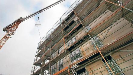 Die Wohnungen sollen im vierten Quartal 2016 fertig sein.