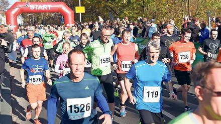 15 Grad und 1500 Läufer. Der Teltowkanal-Halbmarathon feierte am Sonntag bei bestem Herbstwetter seine inzwischen zwölfte Auflage.