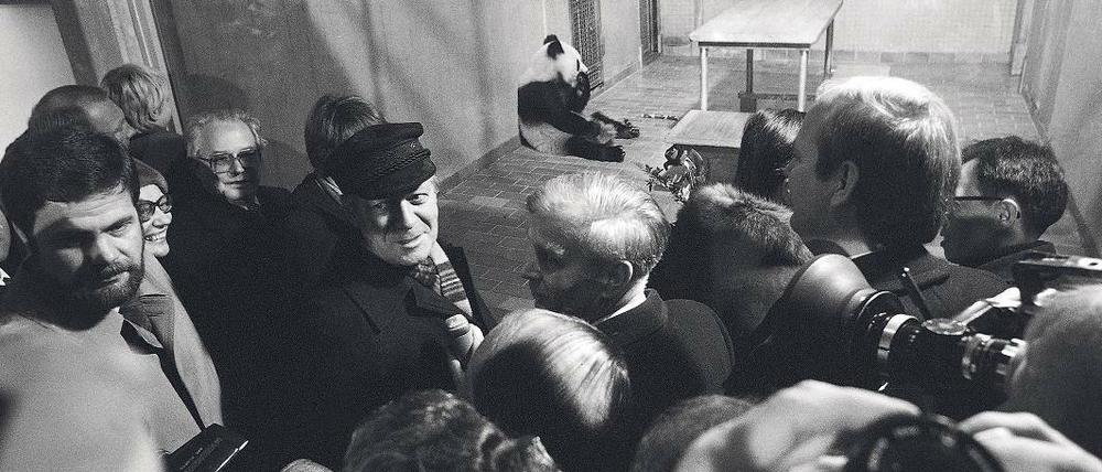 Kleiner Bär von Berlin, schau mich an. Helmut Schmidt brachte die Pandas Bao Bao und Tian Tian als Staatsgeschenke aus China mit und übergab sie dem Zoo. Das Foto entstand fast auf den Tag genau vor 35 Jahren.