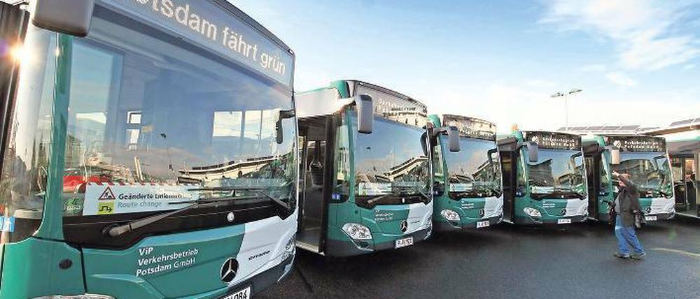 Die acht neuen Niederflurbusse kosteten etwa 2,5 Millionen Euro.