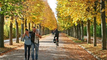 Die schönen Seiten der Herbstzeit in Potsdam: Die Parks sind malerisch schön und viel ruhiger als in den touristenstarken Sommermonaten.