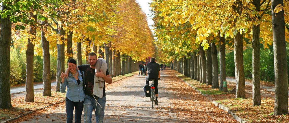 Die schönen Seiten der Herbstzeit in Potsdam: Die Parks sind malerisch schön und viel ruhiger als in den touristenstarken Sommermonaten.