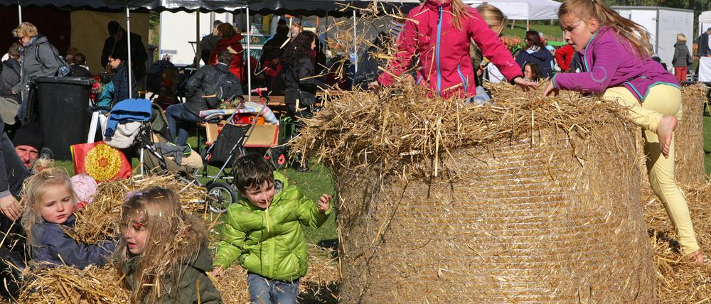Der Volkspark Potsdam ist bei Familien sehr beliebt. Zukünftig soll der Parkeintritt 1,50 Euro kosten.