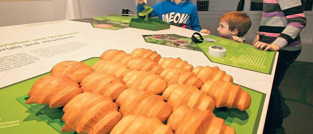 Wunder der Natur. Wie fühlt sich Haihaut an? Was ist der Lotuseffekt?