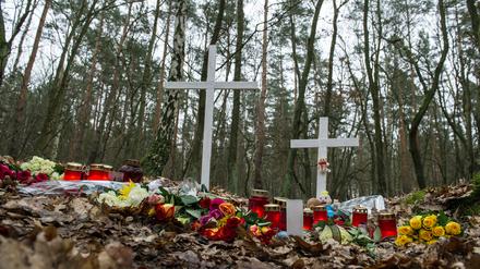 An dieser Stelle in einem Waldstück in Adlershof fanden Spaziergänger die Leiche der 19-Jährigen.