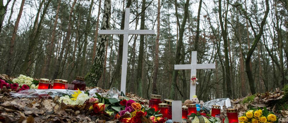 An dieser Stelle in einem Waldstück in Adlershof fanden Spaziergänger die Leiche der 19-Jährigen.