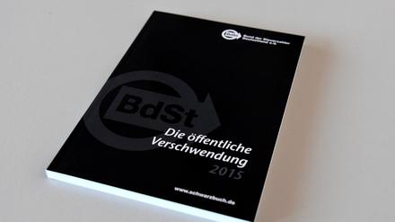 Der aktuelle Bericht "Die öffentliche Verschwendung" enthält auch die Tropenhalle aus Potsdam.