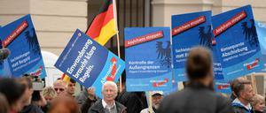 Anhänger der AfD demonstrieren vor dem Landtag in Potsdam.