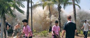 Bei dem verheerenden Sumatra-Tsunami 2004 lagen zwischen Beben und Welle 20 Minuten – ausreichend Zeit für eine Warnkette.