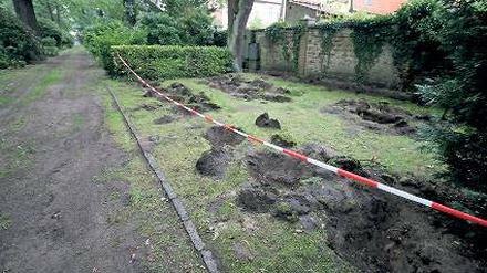 Aufgebuddelt. Die Gräber auf dem Goethefriedhof werden rekonstruiert.