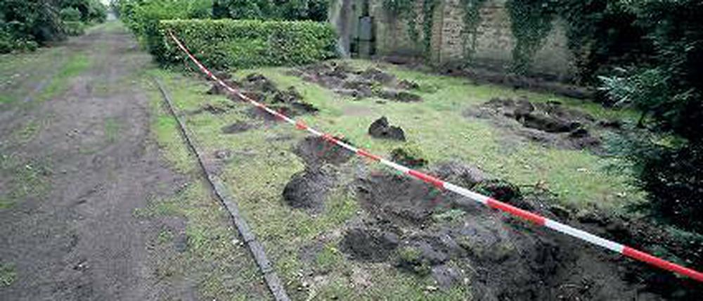Aufgebuddelt. Die Gräber auf dem Goethefriedhof werden rekonstruiert.