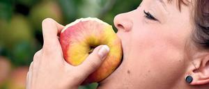 Baumblütenkönigin Tamara Thierschmann lässt sich zum Erntestart einen Apfel aus Werder schmecken. Doch angesichts des Russlandembargos ist vielen Obstbauern der Appetit vergangen.