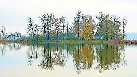 Lenné, wohin man schaut. Der Schlosspark Petzow im Herbst.