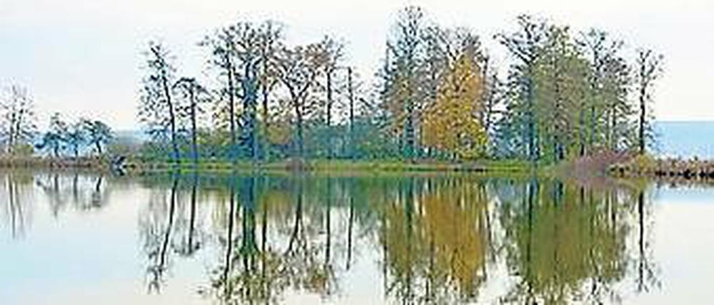 Lenné, wohin man schaut. Der Schlosspark Petzow im Herbst.
