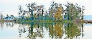 Lenné, wohin man schaut. Der Schlosspark Petzow im Herbst.