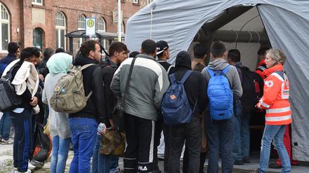 Eisenhüttenstadts Bürgermeisterin Dagmar Püschel fordert angesichts chaotischer Zustände bessere Organisation vonseiten des Landes Brandenburg.