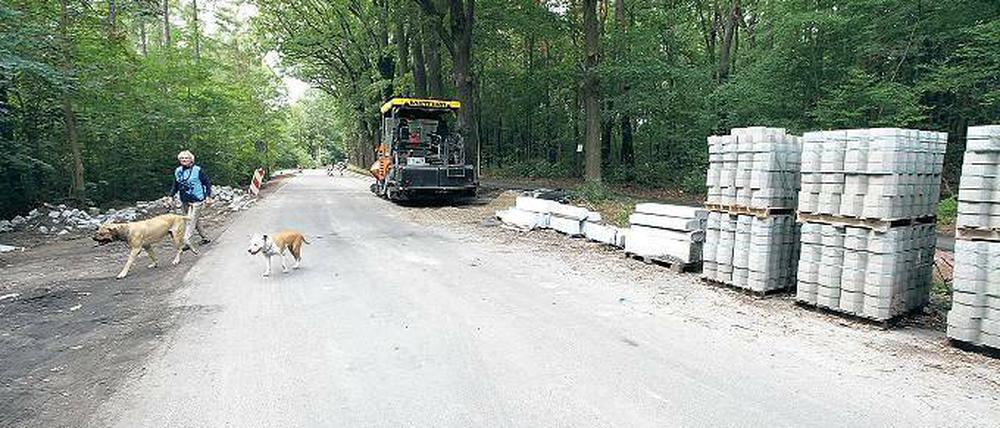 Für die Straße nach Ferch mussten 175 Bäume fallen. Seit Februar wurde sie erneuert und verbreitert.