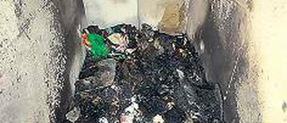 Tatort Waldstadt. Schäden von 50 000 Euro sind bei den Bränden entstanden.