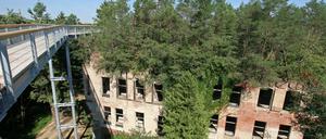 Fast fertig: Am Freitag öffnet der Baumkronenpfad in den Beelitzer Heilstätten.