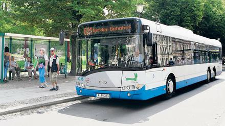 Volles Gefährt. Die Busse zwischen Potsdam und Werder sind oft überfüllt, eine Taktverdichtung sollte Abhilfe schaffen.
