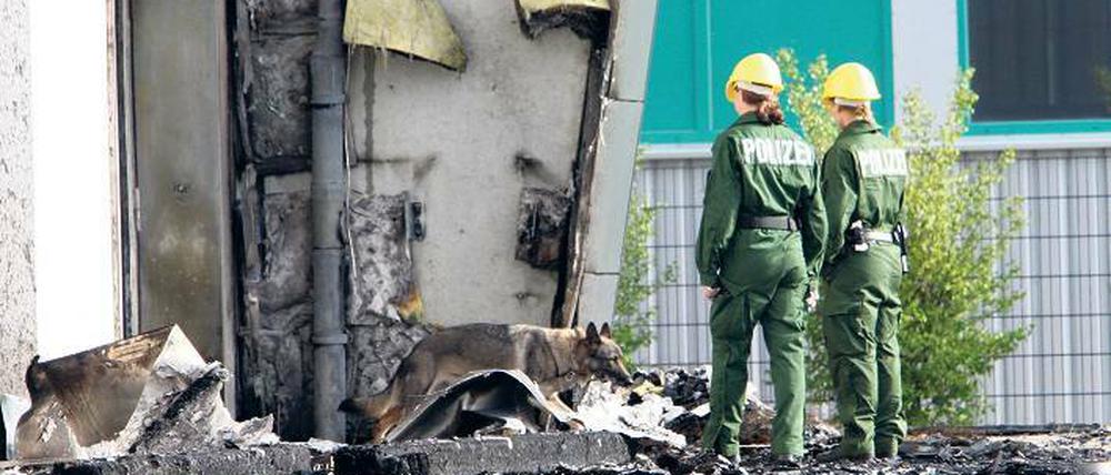 Spürnasen. Polizisten und Hunde der Berliner Polizei suchen vor der abgebrannten Turnhalle in Nauen nach Spuren. Ein Feuer hatte die geplante Flüchtlingsunterkunft zerstört. Am Mittwoch dann die Gewissheit: Es war ein Brandanschlag.