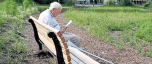 Ruheplatz. Gegenüber vom Park Sanssouci ist eine Grünfläche entstanden.