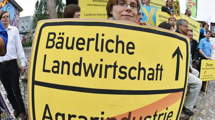 Demonstranten protestierten gegen Massentierhaltung im Juni in Potsdam.