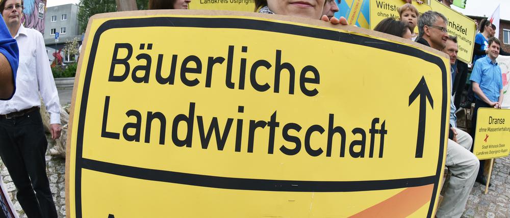 Demonstranten protestierten gegen Massentierhaltung im Juni in Potsdam.