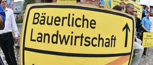Demonstranten protestierten gegen Massentierhaltung im Juni in Potsdam.
