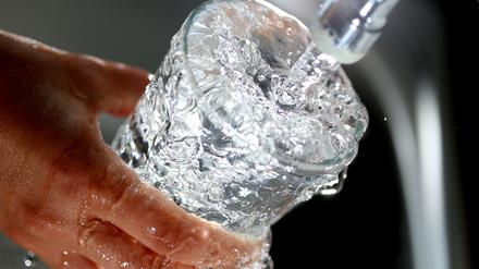 Die Sulfast-Gehalte im Potsdamer Trinkwasser liegen unter den Grenzwerten.