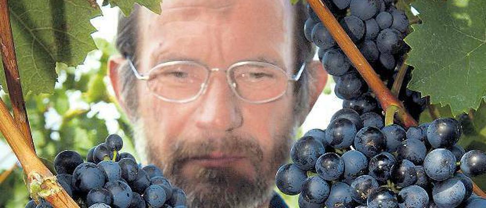 Herr der Reben. Manfred Lindicke erwartet eine gute Weinsaison.