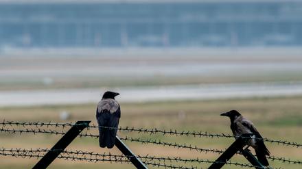 Die Firma Imtech, die am geplanten Flughafen BER tätig ist, gerät erneut ins Zwielicht.