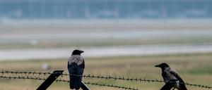 Die Firma Imtech, die am geplanten Flughafen BER tätig ist, gerät erneut ins Zwielicht.