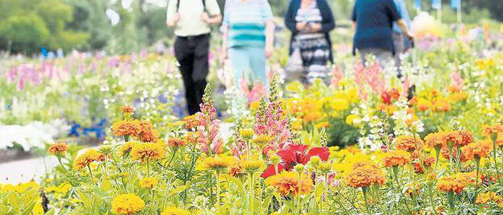 Teilweise schön. Ein Buga-Besuch lohnt, wenn es nicht stürmt oder heiß ist. ]