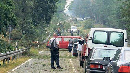 Brandenburg, verwüstet. So sah es nach dem Sturm bei Rathenow aus.