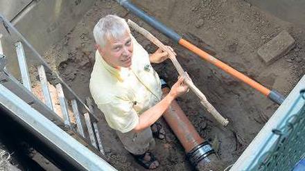 Der Übeltäter. Die etwa vier Zentimeter dicke Wurzel wuchs an das Haus von Wolfgang Köhn heran und verstopfte mit feinen Äderchen sein Abwasserrohr.