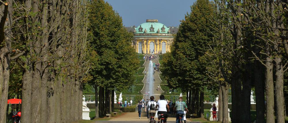 Das trockene Frühjahr und der trockene Frühsommer hinterlassen Spuren im Park Sanssouci.