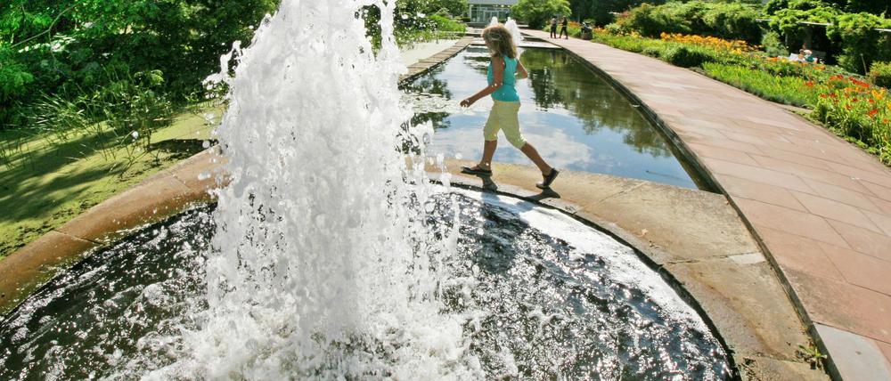In Brandenburg wird es wieder heiß. Abkühlung gibt es unter anderem auf der Freundschaftsinsel in Potsdam.
