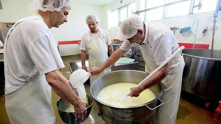 Maestro in Aktion. Gino Paolella (rechts), 72 Jahre alt, ist der Käsemeister in Kremmen. Mit seinem kleinen Team verarbeitet er wöchentlich etwa 3000 Liter Büffelmilch zu Mozzarella.