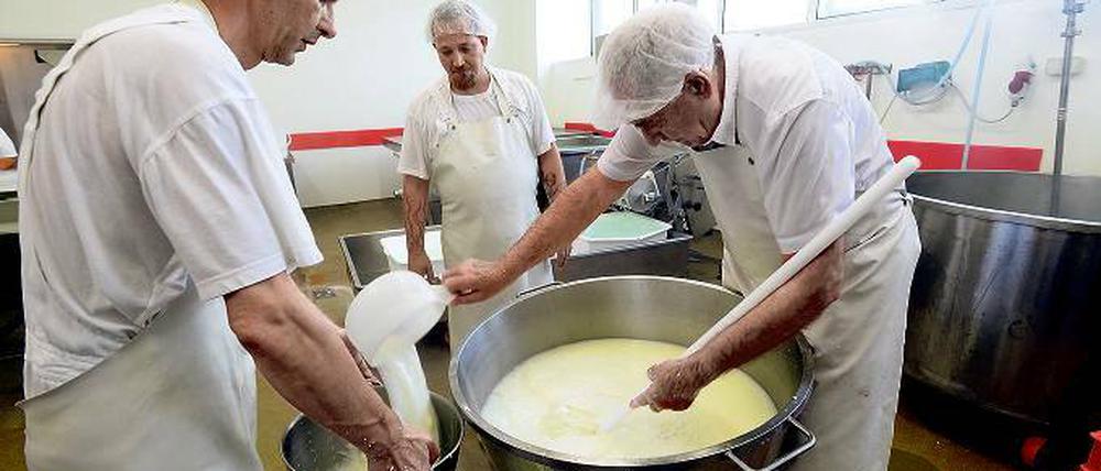 Maestro in Aktion. Gino Paolella (rechts), 72 Jahre alt, ist der Käsemeister in Kremmen. Mit seinem kleinen Team verarbeitet er wöchentlich etwa 3000 Liter Büffelmilch zu Mozzarella.