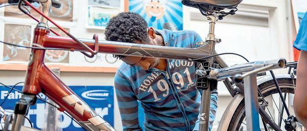 Gemeinnützige Radwerkstatt. Bei den meisten Fahrrädern muss lediglich der Rost entfernt und die ein oder andere Schraube festgezogen werden. Bei hartnäckigen Fällen, wie einer verstellten Gangschaltung, steht den Flüchtlingen ein Fachmann zur Seite.