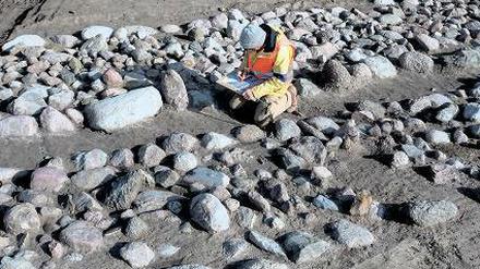 Stumme Zeugen. Zehntausende Feldsteine bedecken aneindergereihte Urnengräber, die aus der vorrömischen Zeit 500 Jahre vor Christus bis hin zu dessen Geburt stammen