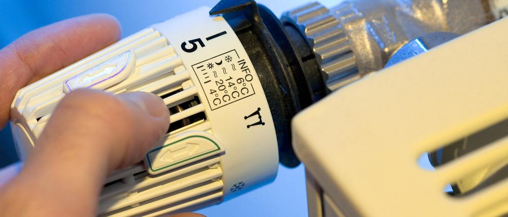 Die Bauarbeiten an der Fernwärmeleitung werden extra im Sommer durchgeführt, damit die Beeinträchtigungen gering gehalten werden.