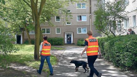 Helfer mit guter Nase. Ein Spurensuchhund am Schlaatz im Einsatz.