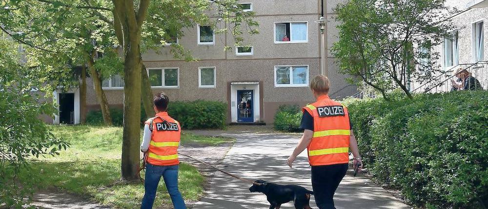 Helfer mit guter Nase. Ein Spurensuchhund am Schlaatz im Einsatz.