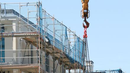 Kräne in Potsdam. Derzeit sind viele Neubauten geplant.