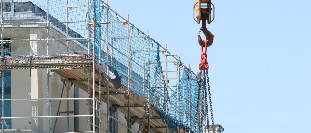 Kräne in Potsdam. Derzeit sind viele Neubauten geplant.